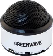 Акустическая система Greenwave PS-300M 1.0 black/silver (R0015123)