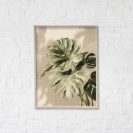 Постер Тропические сны 2 50x65 см Brushme FNK5000115_RN50_18