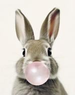 Репродукція Заєць з гумкою 35x28 см Арт Фемелі