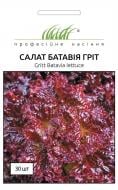 Семена салат Батавия грит 30 шт. Професійне насіння