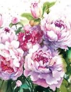 Альбом UFO 10x15x200 PP-46200 Amely