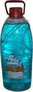 Омыватель стекла Дорожня карта Standard BubbleGum лето 4 л