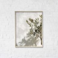 Постер Тиша середземноморського полудня 1 50x65 см Brushme FNK5000112_RN50_18