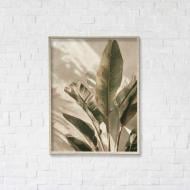 Постер Тропические сны 1 50x65 см Brushme FNK5000114_RN50_18