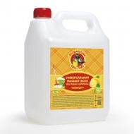 Миючий засіб універсальний ЗАОЩАДЛИВА ПАНІ ҐАВА Лимон 5 л