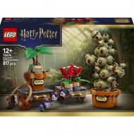 Конструктор LEGO Harry Potter Растения по курсу гербологии в Хогвартсе 76474