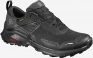 Кроссовки мужские осенние Salomon X RAISE GTX L40973700 р.46 черные