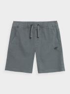 Шорты 4F SHORTS CAS M237 4FJSS23TSHOM237-25S р. 152 серый Шорты 4F SHORTS CAS M237 4FJSS23TSHOM237-25S р. 152 серый