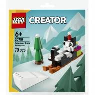 Конструктор LEGO Creator Снежное приключение Cataclaws 30718