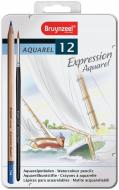 Карандаши акварельные EXPRESSION 12 шт. Bruynzeel