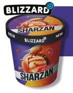 Мороженое Blizzard SHARZAN Шоколад, карамель, арахис 460 мл