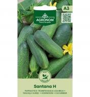 Семена огурец Сантана F1 5 г Agronom