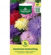 Семена астра Американ Бренчинг 4 г