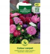 Семена астра Колор Карпет 4 г