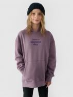 Джемпер 4F SWEATSHIRT F1218 4FJWAW24TSWSF1218-51S р.140 фиолетовый