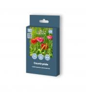 Насіння суміш квітів Квітуче передмістя 4 г Agronom