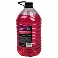 Омыватель стекла ПЭТ Жевательная резинка лето 5 л