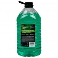 Омыватель стекла ПЭТ Зеленое яблоко лето 5 л