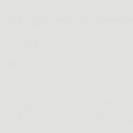 Краска акриловая ProCristal Стандарт ИР-231 мат NOVA F165 10 л