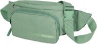 Сумка на пояс Travelite Kick Off 69 Sage TL006919-80 зеленый