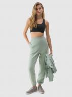 Брюки 4F TROUSERS CAS F666 4FWSS24TTROF666-42S р. XL зеленый Брюки 4F TROUSERS CAS F666 4FWSS24TTROF666-42S р. XL зеленый