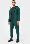 Брюки 4F TROUSERS FNK M277 4FSS23TFTRM277-40S р. 2XL зеленый Брюки 4F TROUSERS FNK M277 4FSS23TFTRM277-40S р. 2XL зеленый