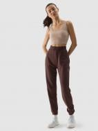 Штани 4F TROUSERS CAS F665 4FWSS24TTROF665-80S р. S коричневий