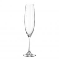 УЦІНКА! Набір бокалів для шампанського Bohemia Milvus 1SD22/00000/250 250 мл 6 шт. (УЦ №2845)