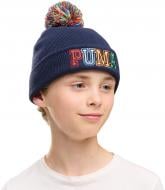 Шапка Puma 02741101