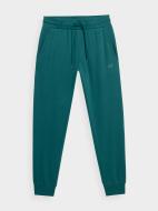 Штани 4F TROUSERS CAS M289 4FAW22TTROM289-46S р. S зелений