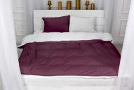 Комплект постельного белья Велюр Winter Frost 28-0001+28-0002 Aster Velvet 143х210 см фиолетовый/белый MirSon