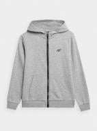 Джемпер 4F SWEATSHIRT M0779 4FJMM00TSWSM0779-27M серый