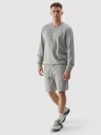 Шорты 4F SHORTS CAS M330 4FWSS24TSHOM330-25S р. XL серый Шорты 4F SHORTS CAS M330 4FWSS24TSHOM330-25S р. XL серый
