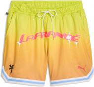 Шорты Puma LAFRANCE HEEM AEROSPACE Mesh Short 6in 63728201 р. L разноцветний