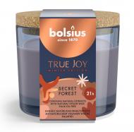 Свеча ароматическая Bolsius True Joy-Winter Edition 66/83 с пробкой аромат Зимний лес