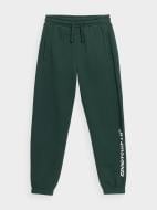 Брюки 4F TROUSERS CAS M534 4FJSS23TTROM534-40S р. 122 зеленый