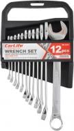 Набор ключей комбинированных CarLife CR-V 12шт 6-22 мм WR4212