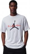 Футболка Jordan M J BRK ESS 85 GFX SS CRW IF3034-100 р.L белый