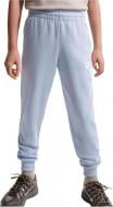Штани Nike K NSW CLUB FT JGGR LBR FD3019-057 р. L блакитний