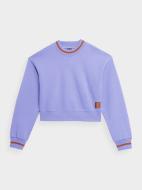 Свитшот 4F SWEATSHIRT F595 4FSS23TSWSF595-52S р.XS фиолетовый