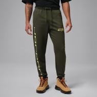 Брюки Jordan M J DF SPT CSVR GFX FLC PNT IO8933-325 р. 2XL зеленый