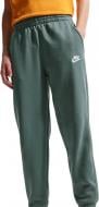 Брюки Nike K NSW CLUB FT JGGR LBR FD3019-382 р. M зеленый