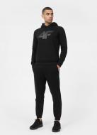 Штани 4F TROUSERS CAS M565 4FSS23TTROM565-20S р. S чорний