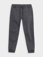 Брюки 4F TROUSERS CAS M567 4FSS23TTROM567-22S р. S серый Брюки 4F TROUSERS CAS M567 4FSS23TTROM567-22S р. S серый