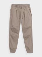 Брюки 4F TROUSERS CAS M568 4FSS23TTROM568-83S р. XL бежевый