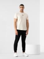 Брюки 4F RL9_TROUSERS CAS RL9SS22TTROM119-20S р. 2XL черный