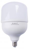 Лампа світлодіодна E.NEXT 50 Вт E27 230 В 4000 К l0650638