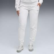 Брюки Puma ESS ELEVATED SWEATPANTS FL CL 69407505 р. XL серый