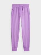 Брюки 4F TROUSERS FNK F381 4FSS23TFTRF381-52S р. XL фиолетовый