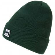 Шапка Helly Hansen URBAN CUFF BEANIE 67154_495 р.one size зеленый